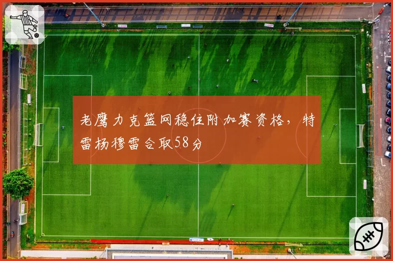 老鹰力克篮网稳住附加赛资格，特雷杨穆雷合取58分