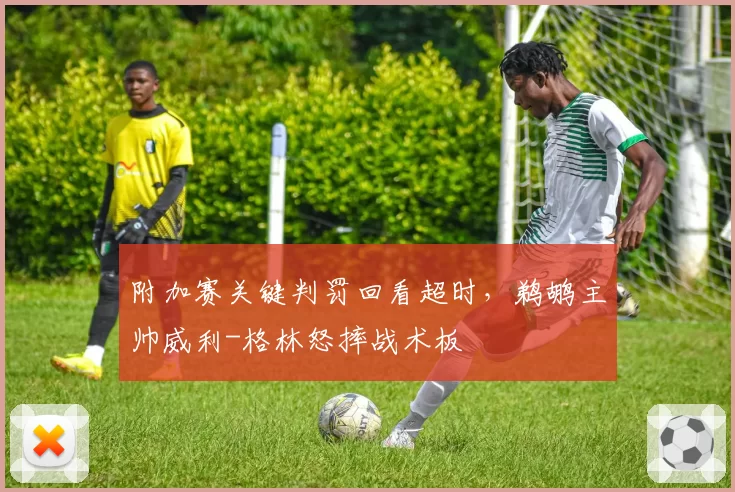附加赛关键判罚回看超时，鹈鹕主帅威利-格林怒摔战术板